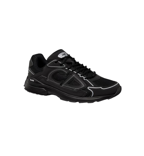 Dior b30